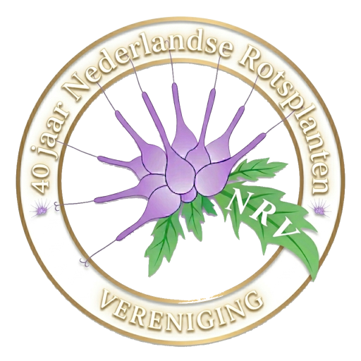 Nederlandse Rotsplanten Vereniging