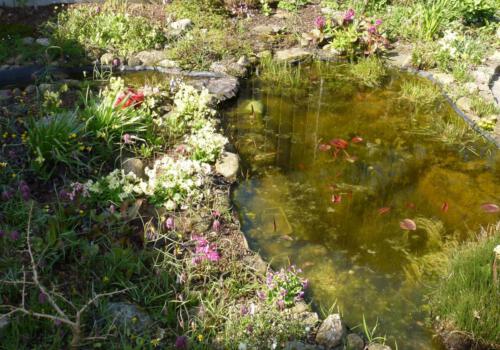 Tuin Johan van de Akker in Ens.