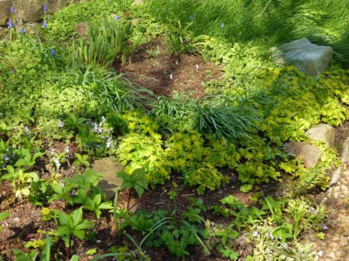 Tuin Johan van de Akker in Ens.